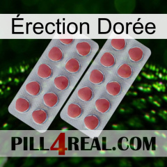 Érection Dorée 19
